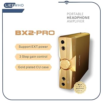 Amazon.co.jp: LIEEWHO ハイエンド完全ディスクリート HIFIMAN